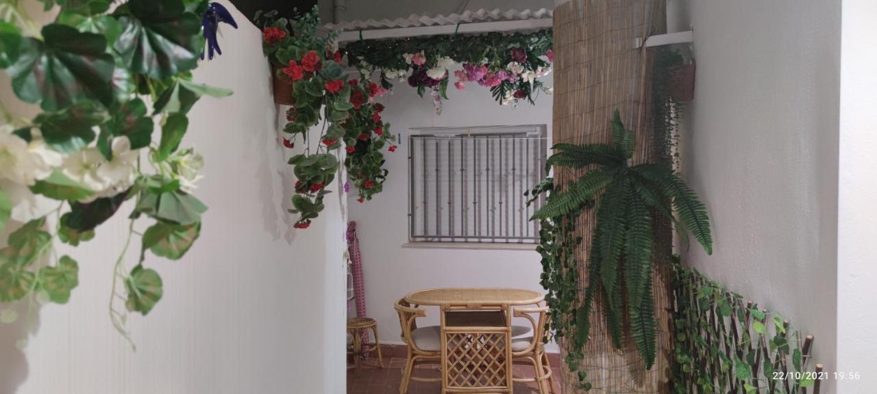Tus Vacaciones En El Corazon De Alicante! Dış mekan fotoğraf